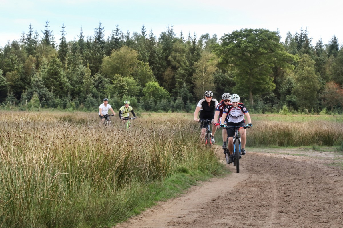 15883-Mountainbikers-Aekingerzand@Albert-Henckel---Staatsbosbeheer