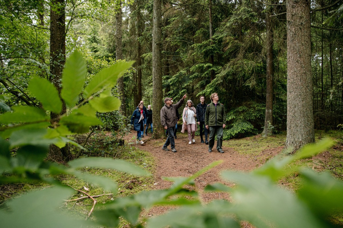 16035-Zakelijke-excursie-Nationaal-Park-Drents-Friese-Wold@Marleen-Annema-Fotografie