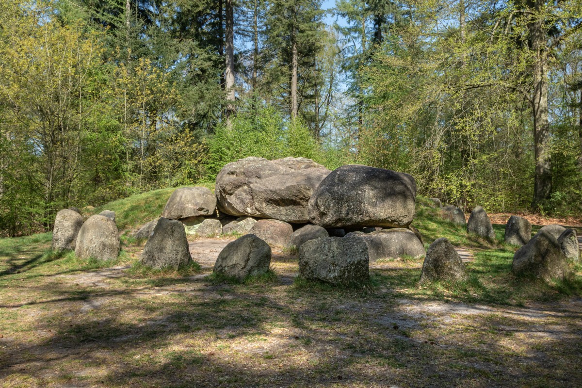 21165-Hunebed-De-Papeloze-Kerk-(D49)@Marco-van-de-Burgwal---Staatsbosbeheer
