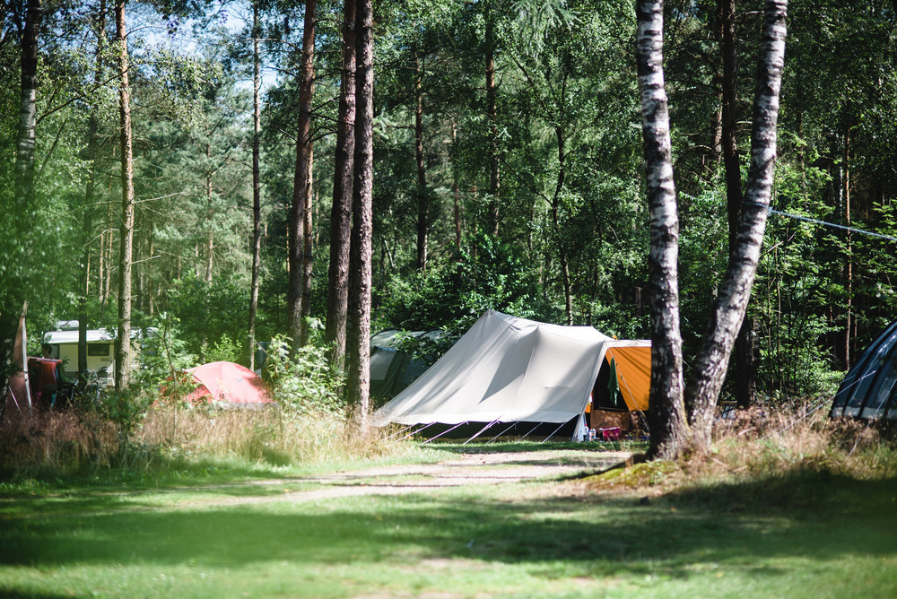 Drie-Ermelo-algemenebeelden-4985