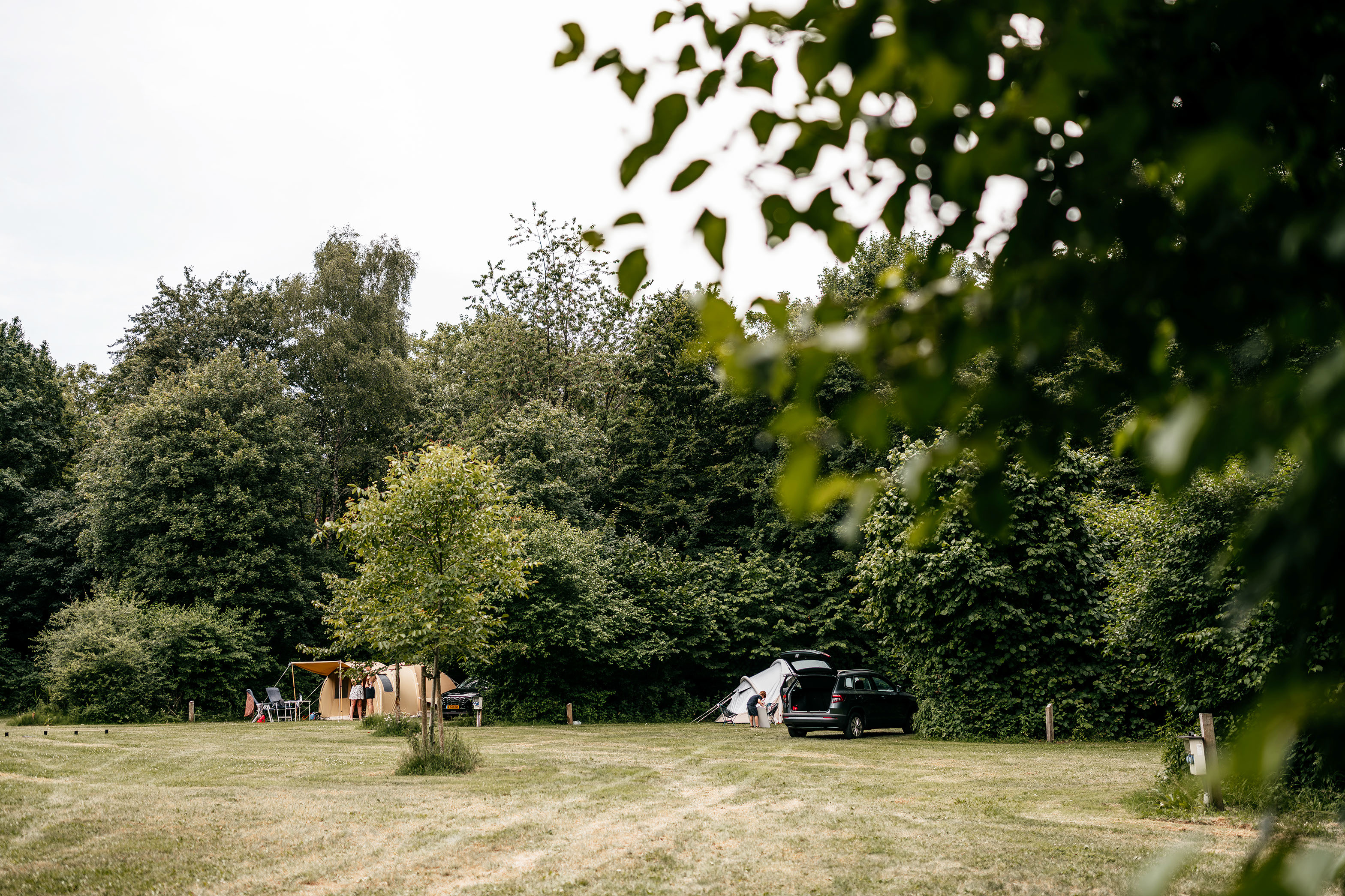 De_Dasselaar_SH1_5118