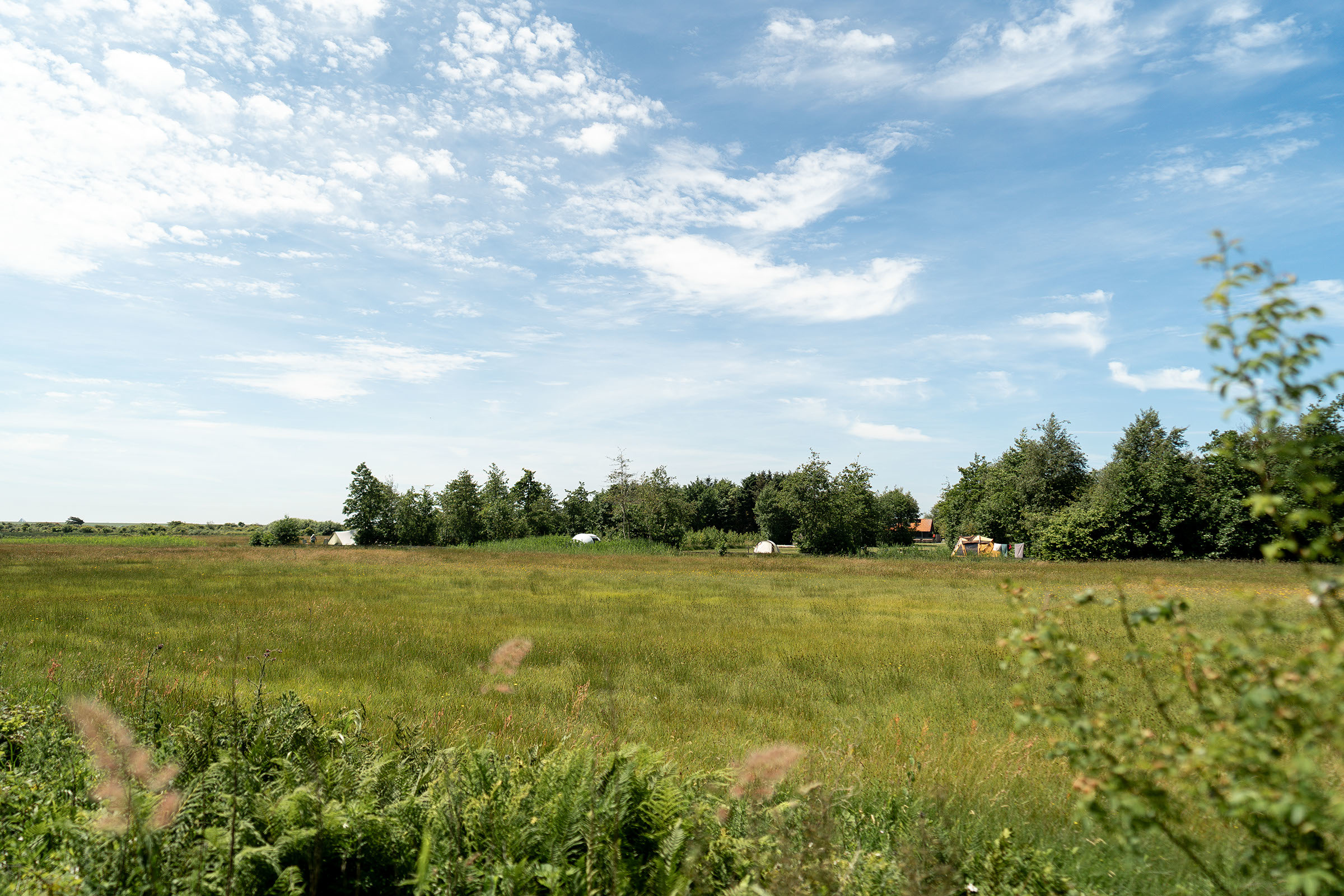 LM_Middelpolle-24-040