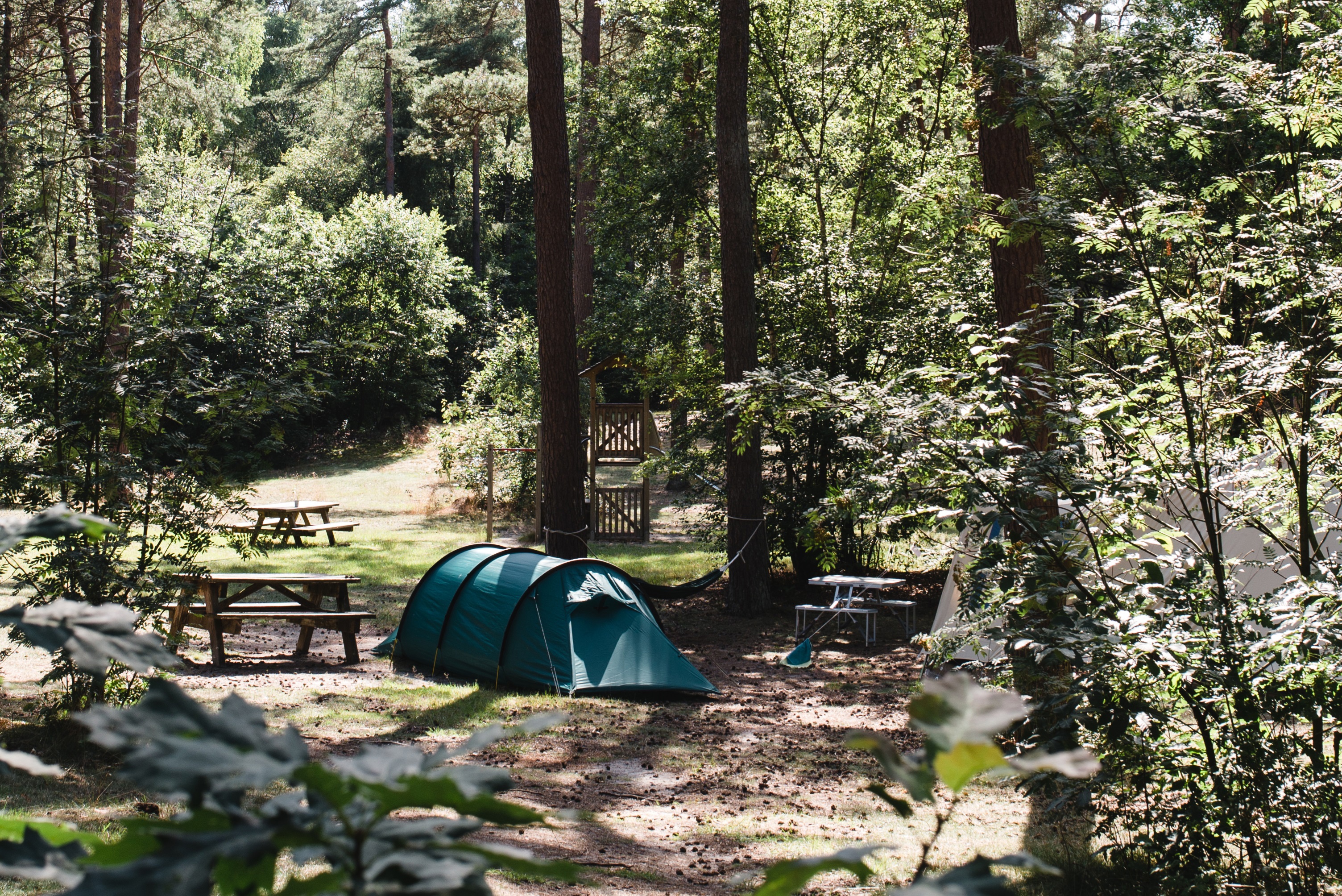 Lheederzand - Dwingeloo - Algemene beelden-7817