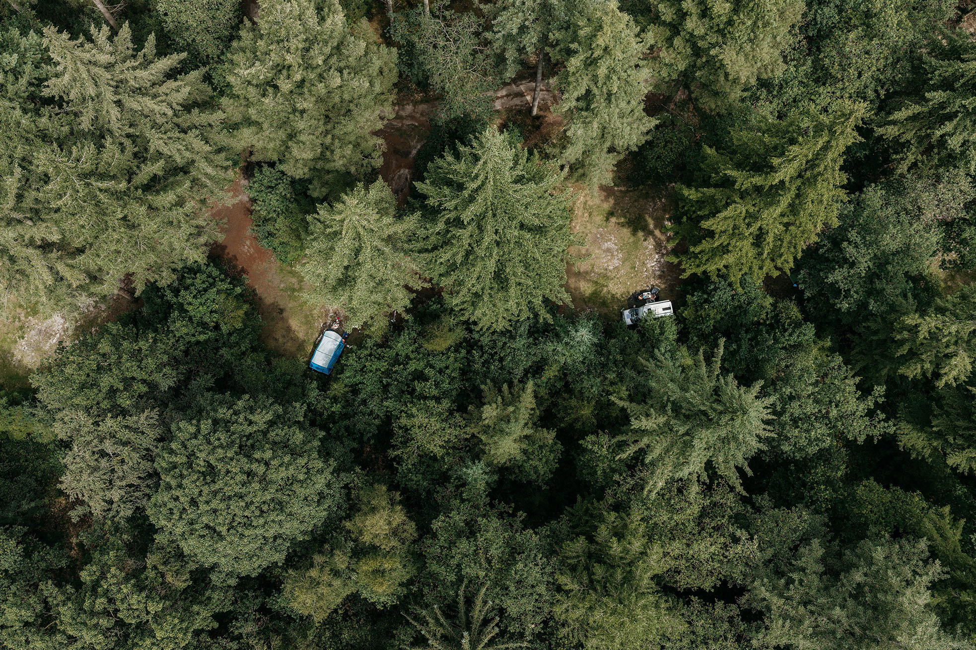De_Dennen_DJI_60037